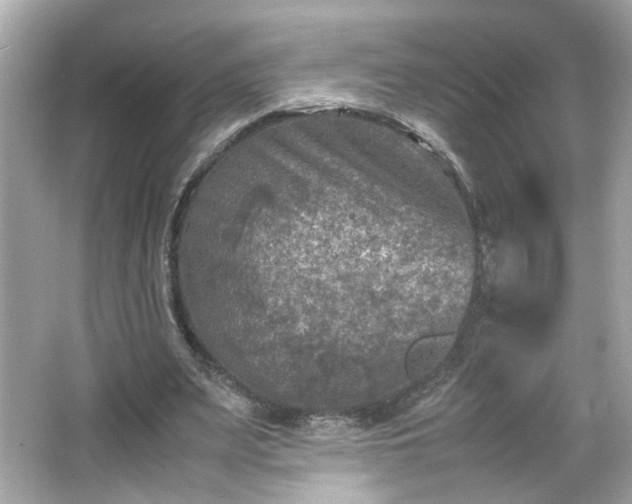 X0000066100487200603171400