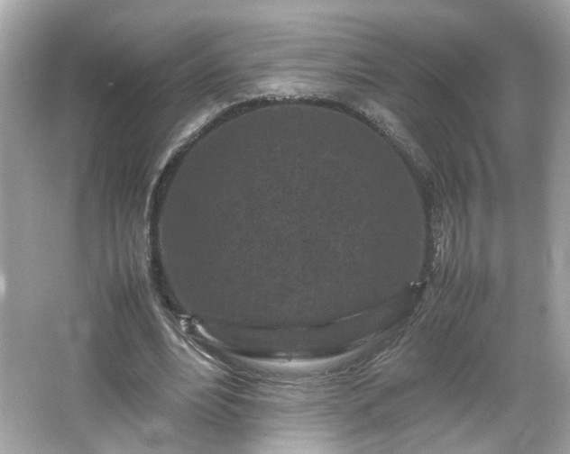 X0000066100488200603171400