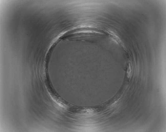 X0000066100492200603171400