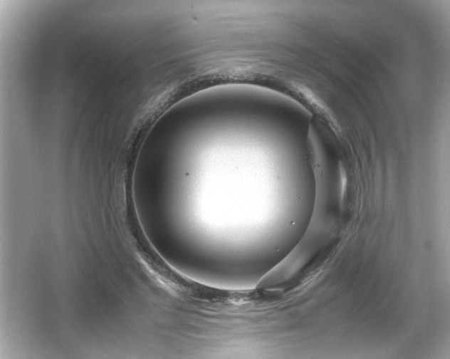 X0000066100493200603171400