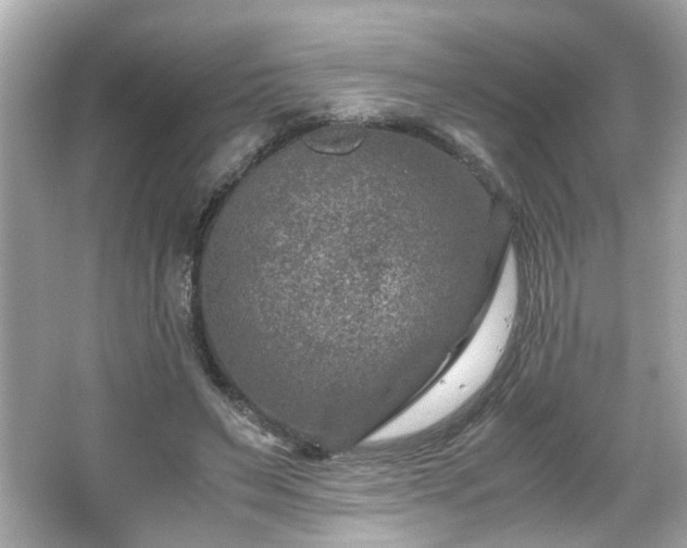 X0000066100495200603171400