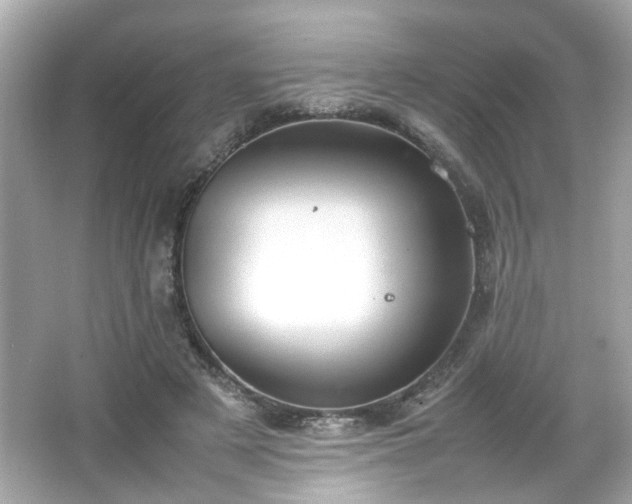 X0000066100497200603171400