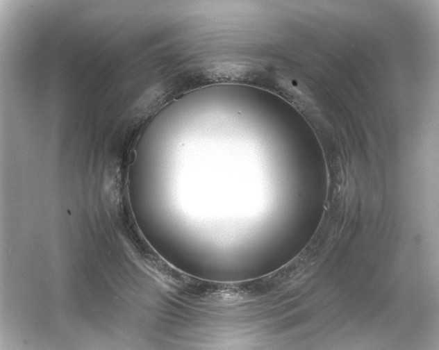 X0000066100498200603171400