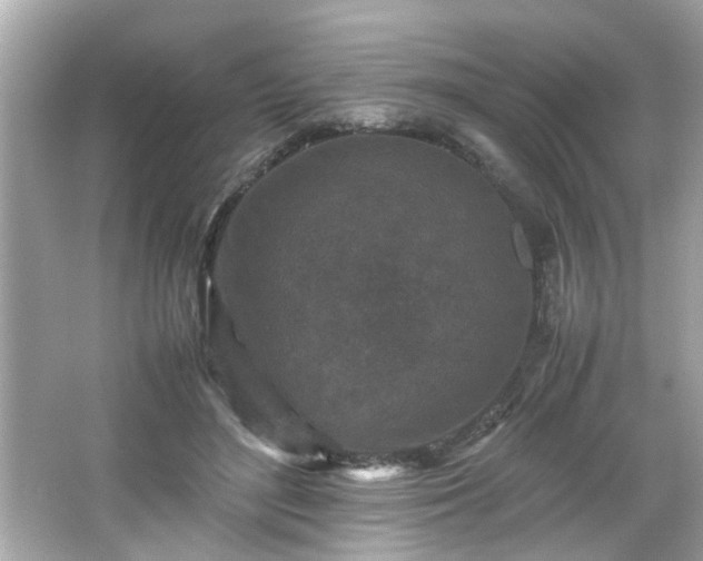 X0000066100500200603171400