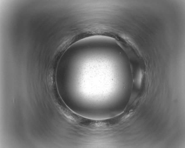 X0000066100501200603171400