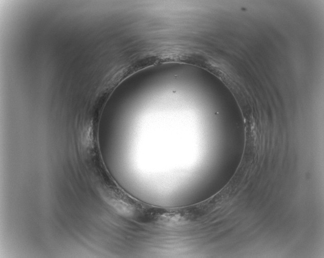 X0000066100502200603171400