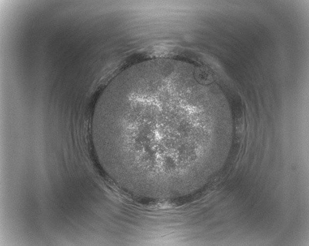 X0000066100503200603171400