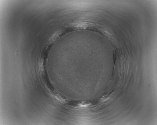 X0000066100504200603171400