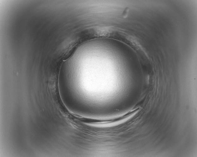 X0000066100505200603171400