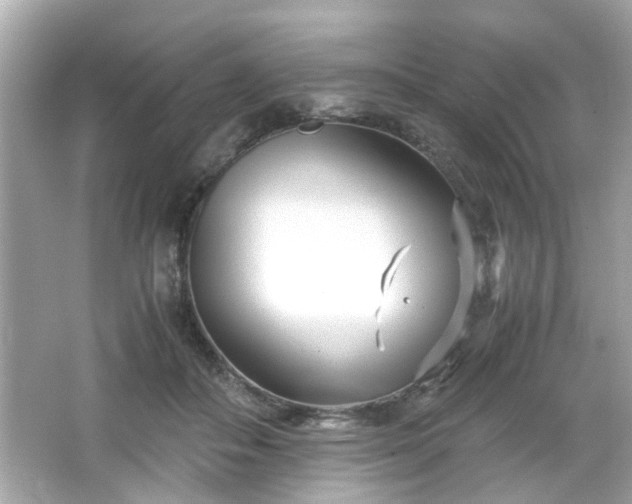 X0000066100506200603171400