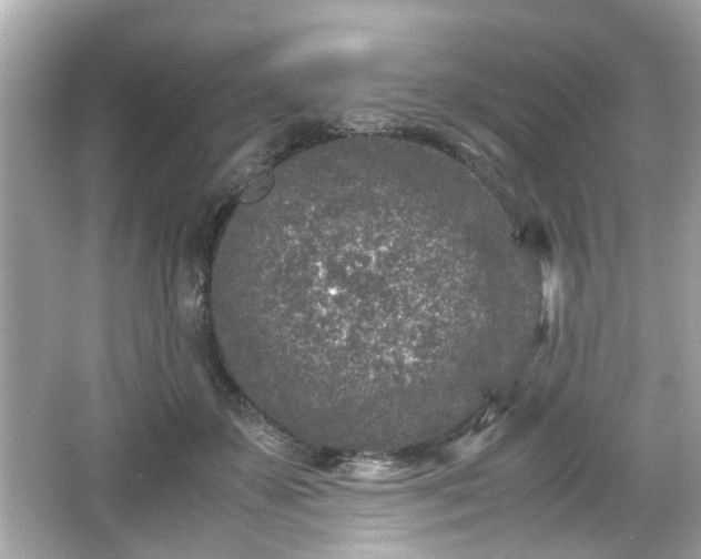 X0000066100507200603171400