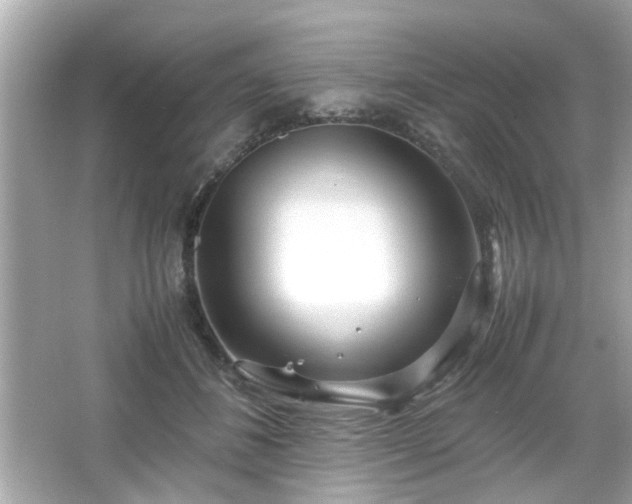 X0000066100508200603171400