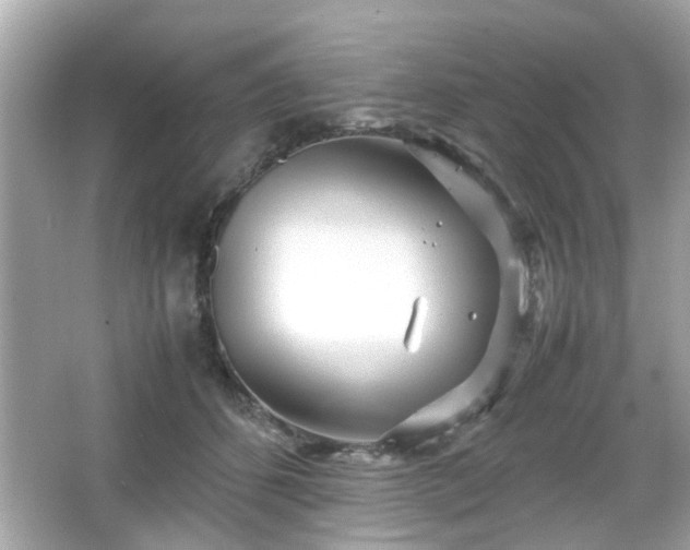 X0000066100512200603171400