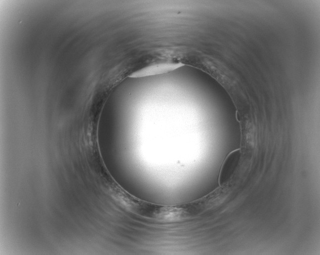 X0000066100514200603171400