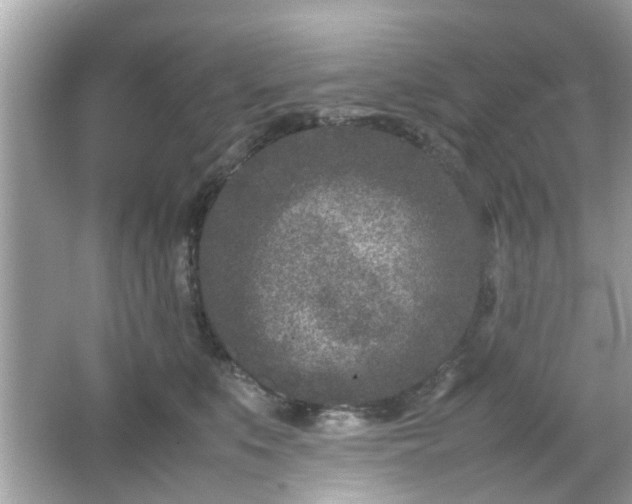 X0000066100519200603171400