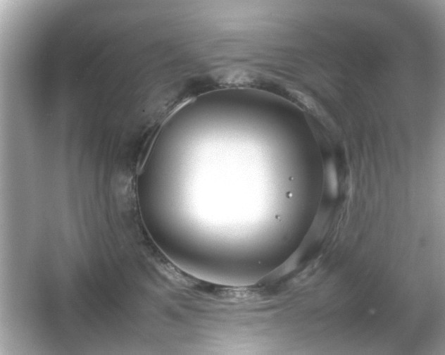 X0000066100521200603171400