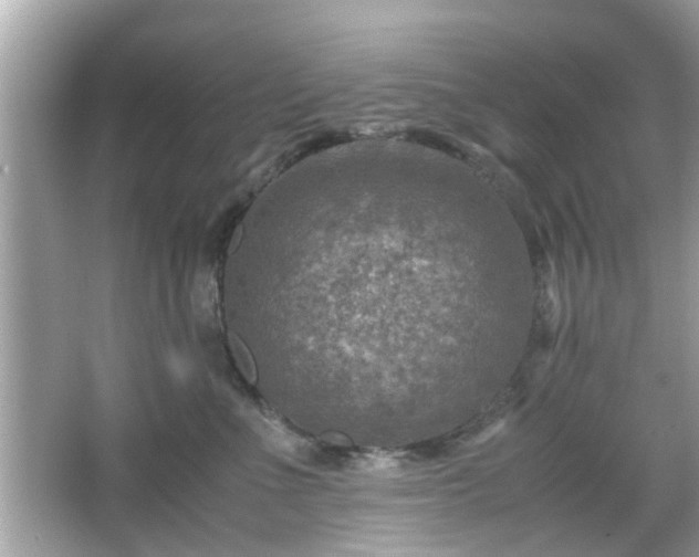 X0000066100523200603171400