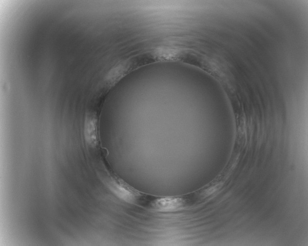 X0000066100526200603171400