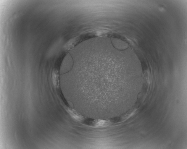 X0000066100527200603171400