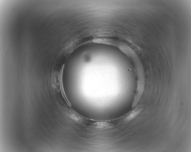 X0000066100528200603171400