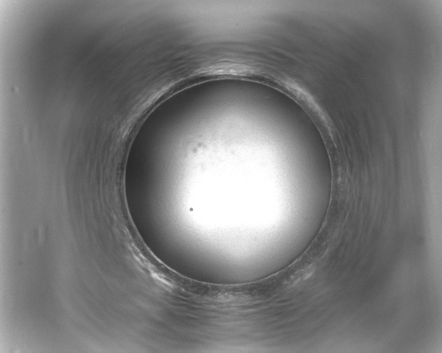 X0000066100529200603171359