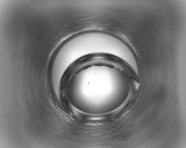 X0000066100531200603171359