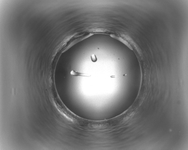 X0000066100533200603171359