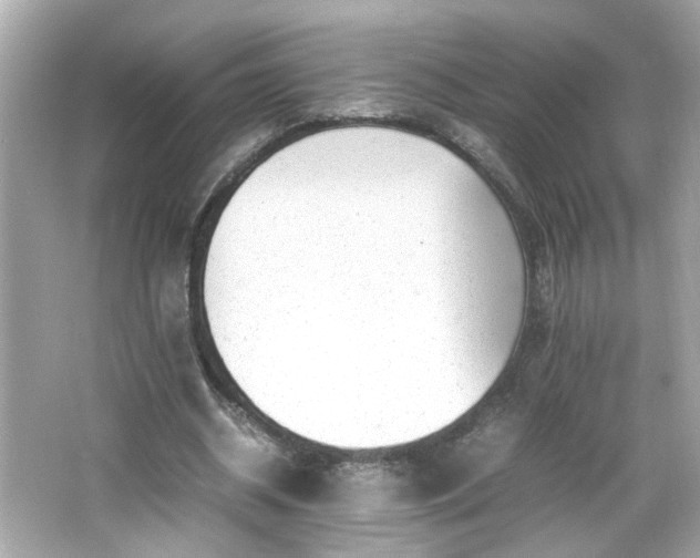 X0000066100534200603171359