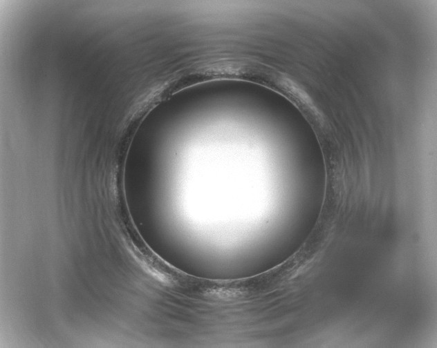 X0000066100537200603171359