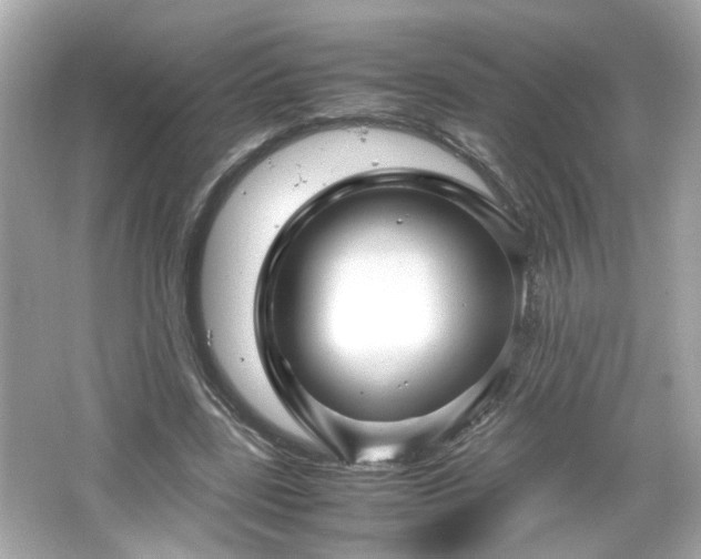 X0000066100539200603171359