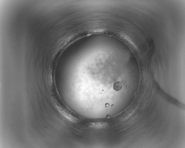 X0000066100541200603171359