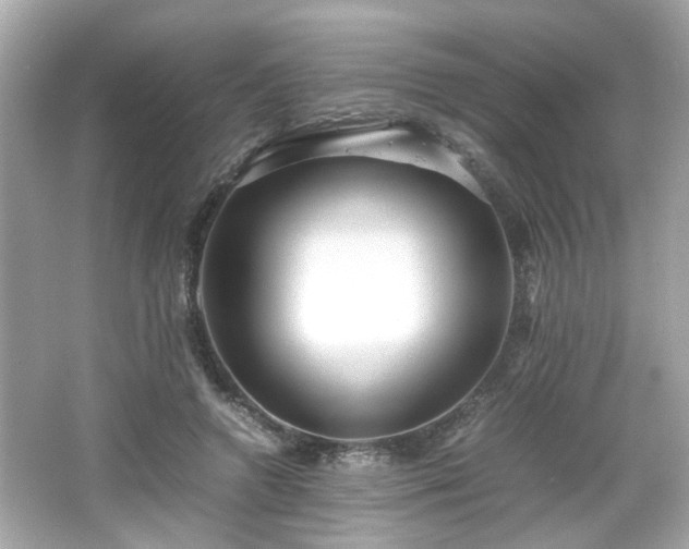 X0000066100546200603171359