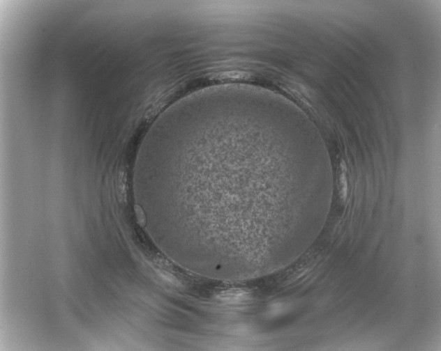 X0000066100551200603171359