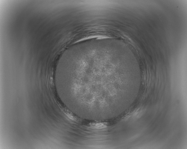 X0000066100553200603171359