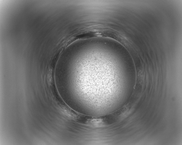 X0000066100554200603171359