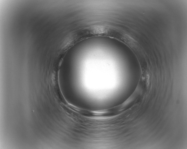 X0000066100556200603171359