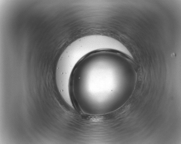 X0000066100560200603171359