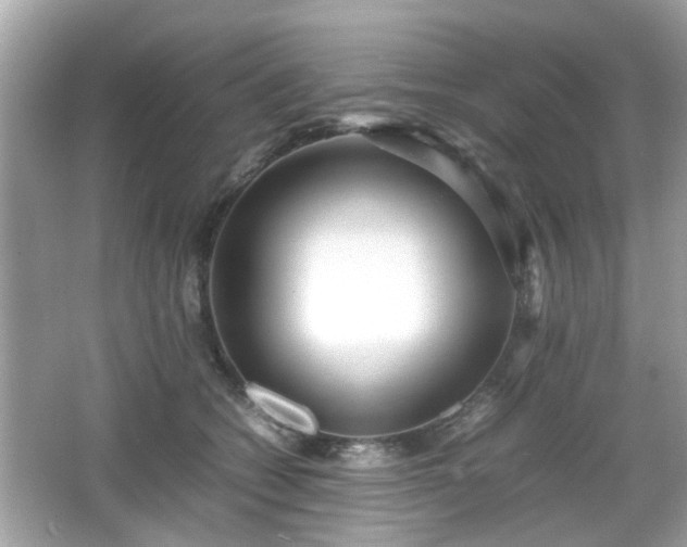 X0000066100562200603171400