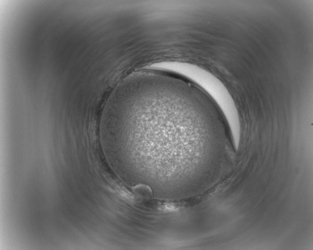 X0000066100565200603171400