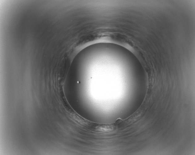 X0000066100567200603171400