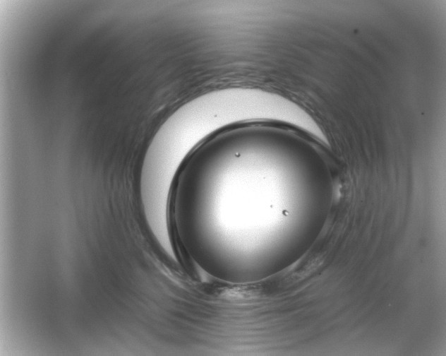 X0000066100568200603171400