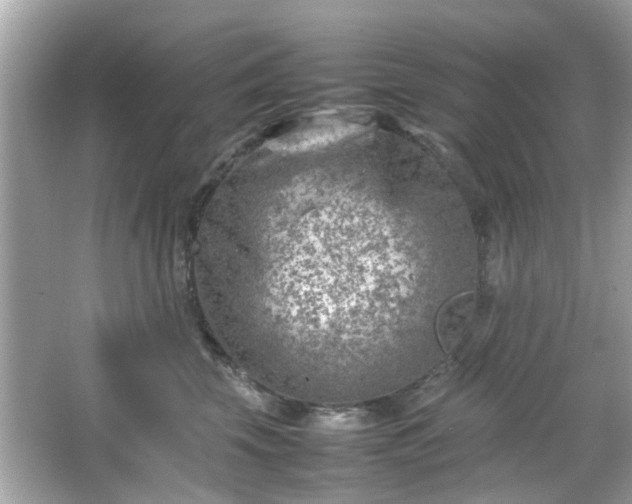 X0000066100569200603171400