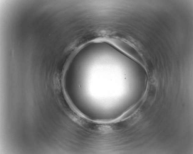 X0000066100572200603171400