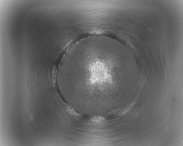 X0000066100576200603171400