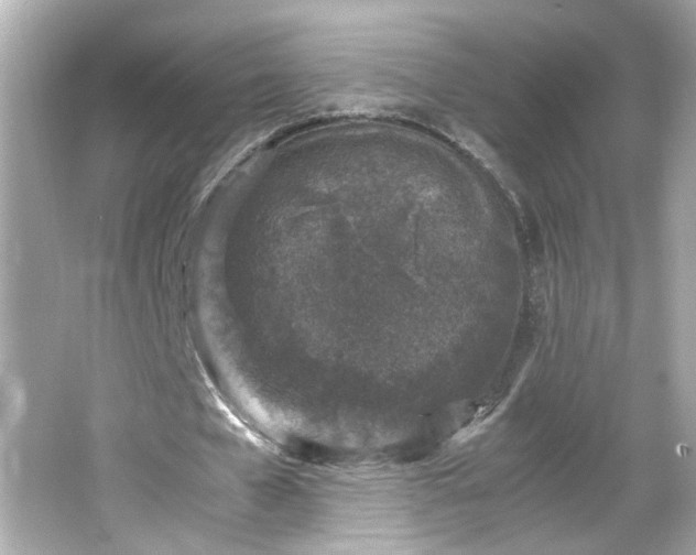 X0000066100577200603171359