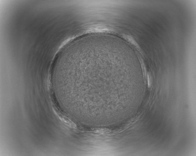 X0000066100579200603171359