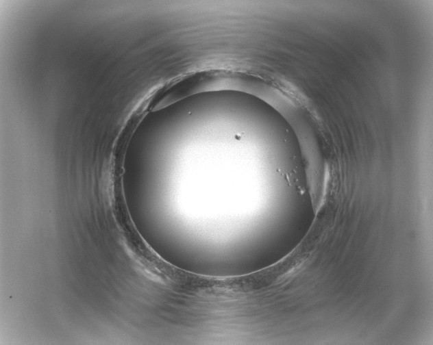 X0000066100580200603171359