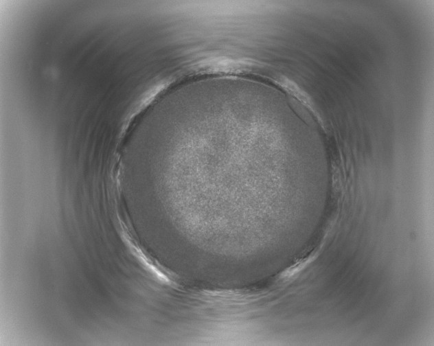 X0000066100581200603171359