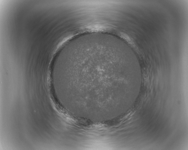 X0000066100583200603171359