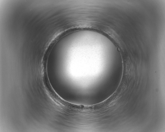 X0000066100584200603171359